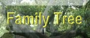 Family Tree